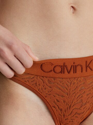 Calvin Klein Underwear Thong in Brown