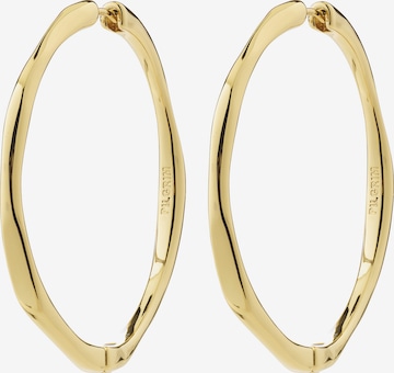 Pilgrim Ohrringe 'Presence' in Gold: Vorderseite