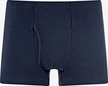 Charles Colby Boxer shorts ' Lord Anrai ' in Mixed colors