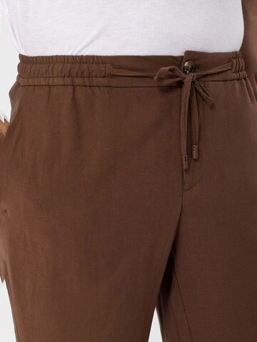 Antioch Tapered Hose in Braun