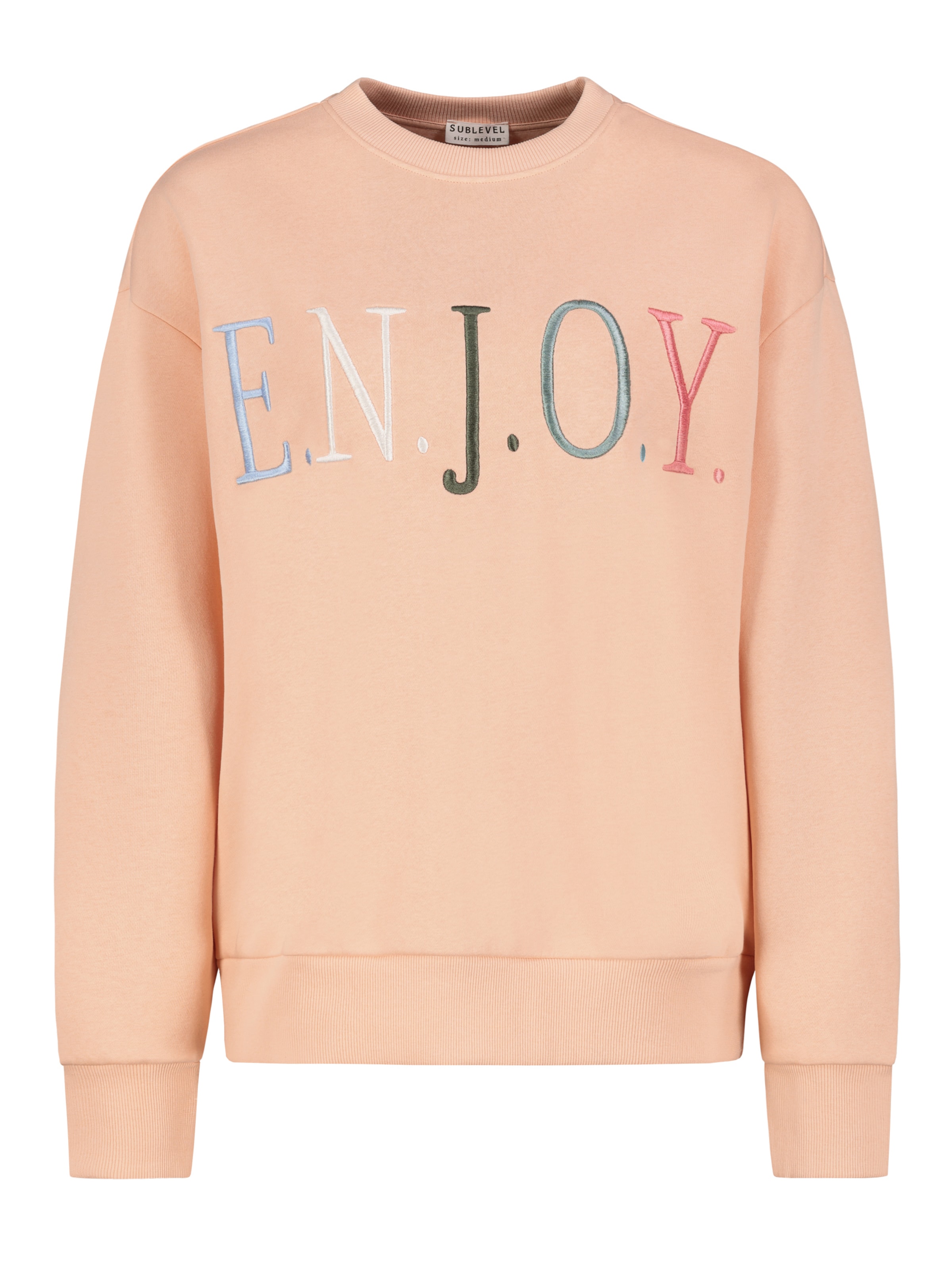 Sublevel Sweatshirt in Light blue / Emerald / Coral, Item view