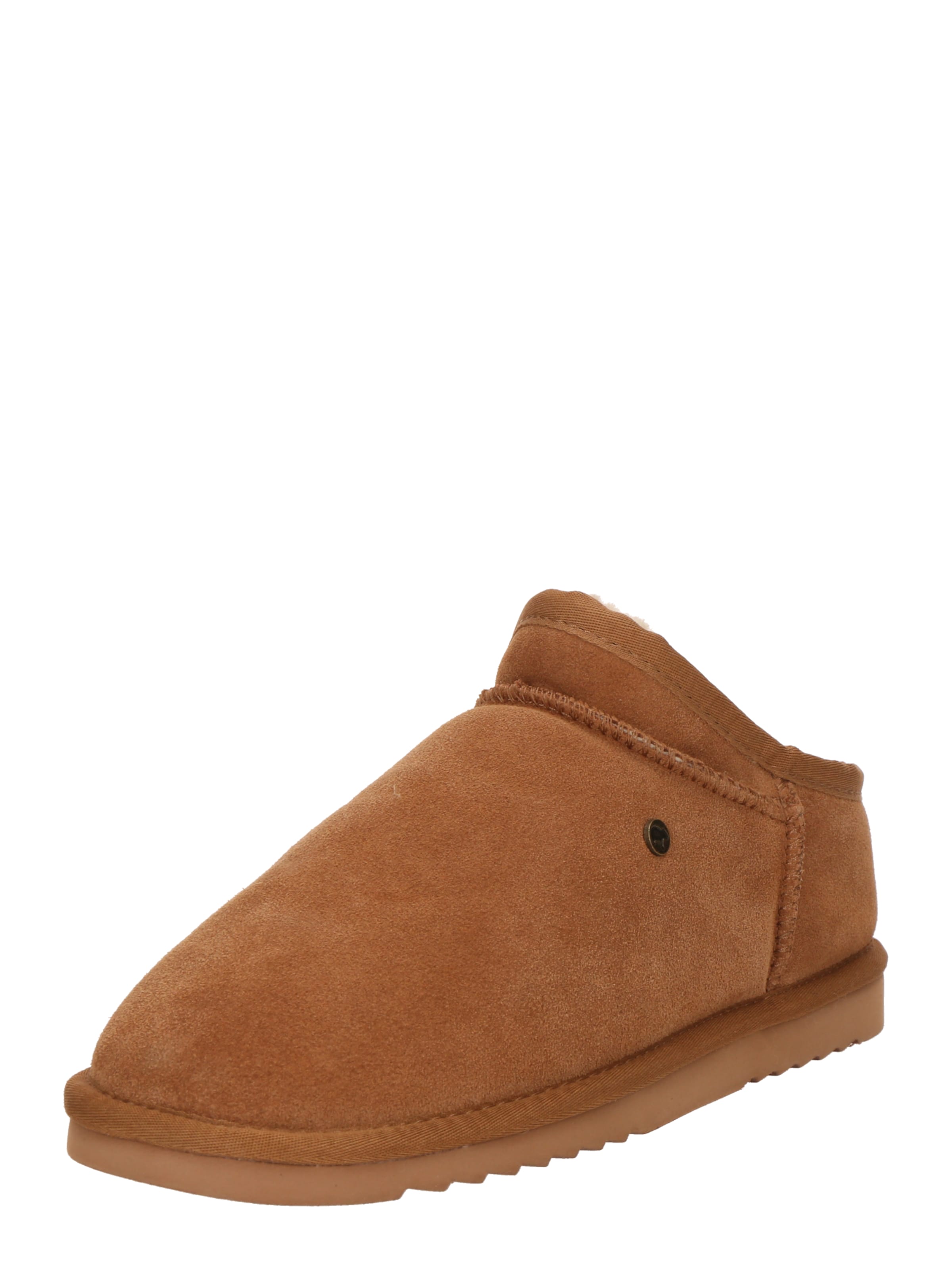 Warmbat Toasuss 'Conner', värv pruun: eest vaates