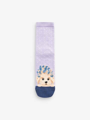 Next Socken in Mischfarben