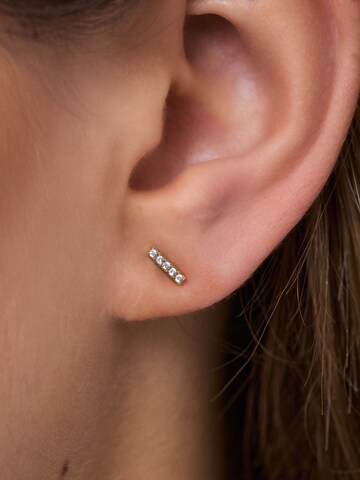 PIECES Oorbellen 'PCDANNIELA' in Goud