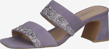 CAPRICE Mules in Purple: front