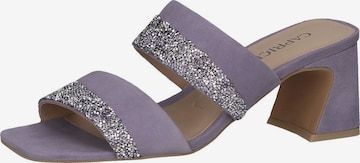 Mule CAPRICE en violet : devant