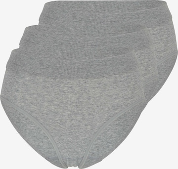 SPEIDEL Slip 'bio.cotton Plus' in Grau: Vorderseite