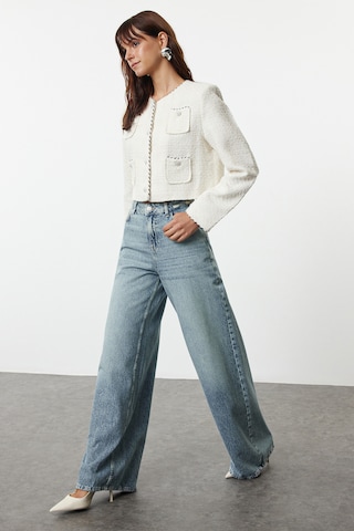 Wide leg Jeans de la Trendyol pe albastru