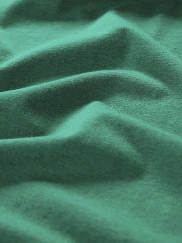 Seasalt Cornwall Pullover 'Landing' i grøn
