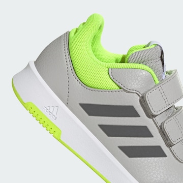 ADIDAS SPORTSWEAR Athletic Shoes 'Tensaur Hook and Loop' in Grey