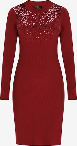 raudona faina Megzta suknelė: priekis