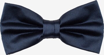 ROY ROBSON Bow Tie in Blue: front