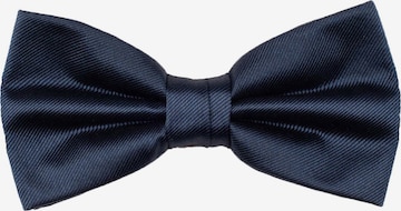ROY ROBSON Bow tie in Blue: front
