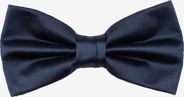 ROY ROBSON Bow Tie in Blue: front