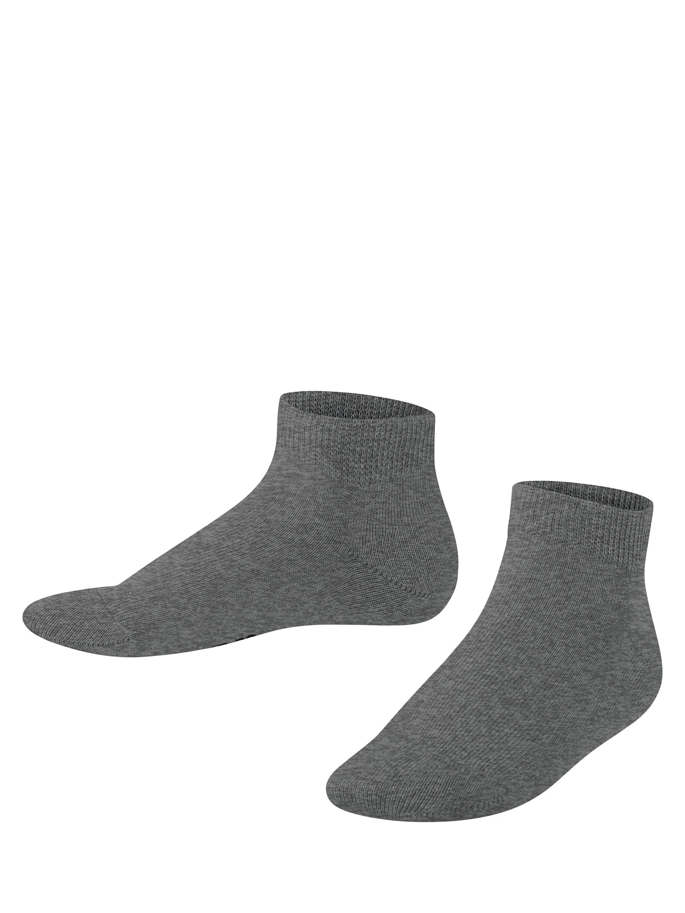 FALKE Socks 'Family' in Grey: front