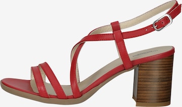 Sandales à lanières Nero Giardini en rouge