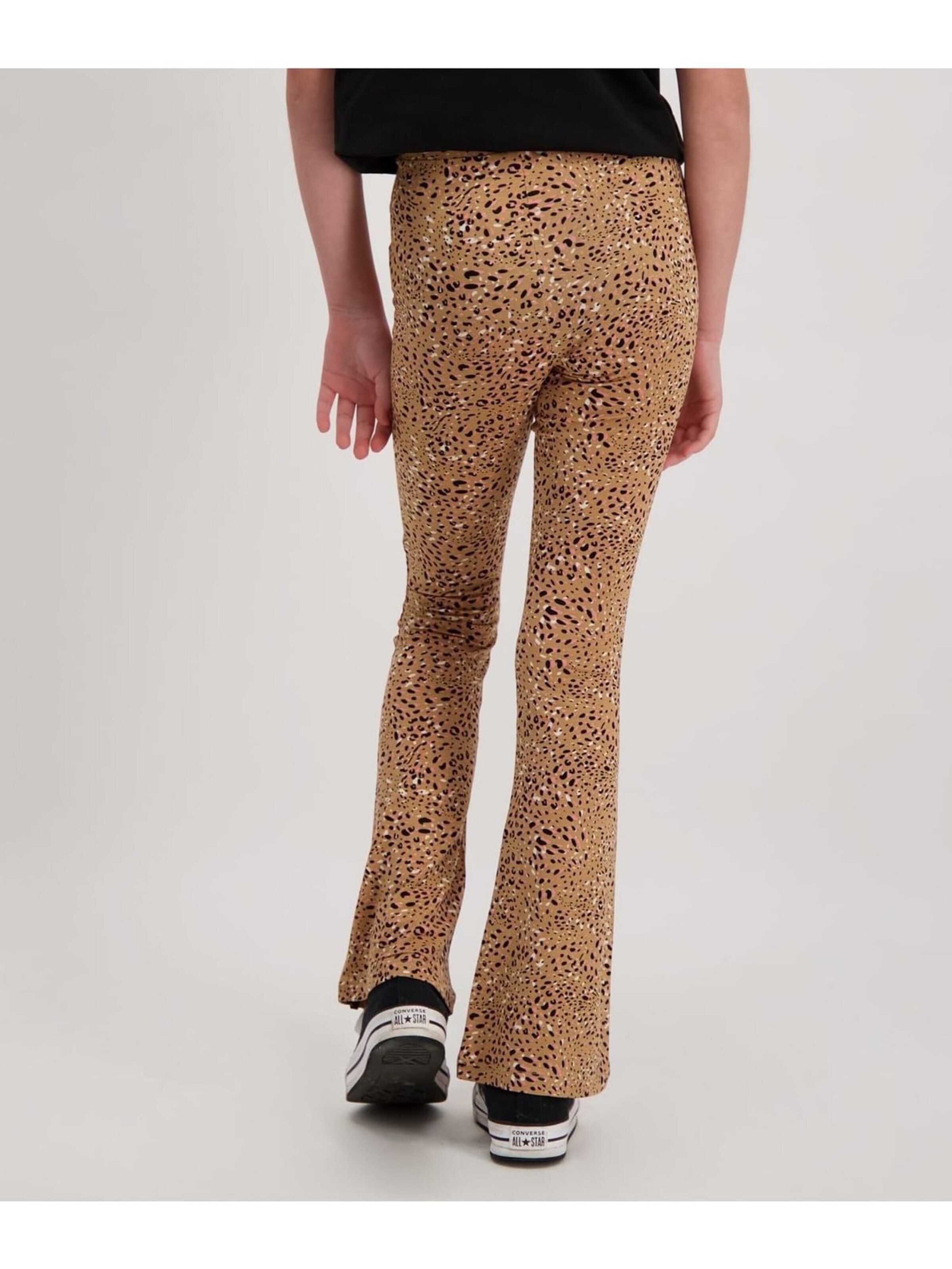 CARS Trousers in Brown