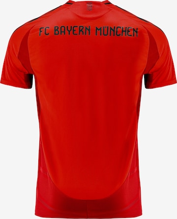 FC BAYERN MÜNCHEN Jersey 'FC Bayern München Home Authentic Trikot 24-25' in Red