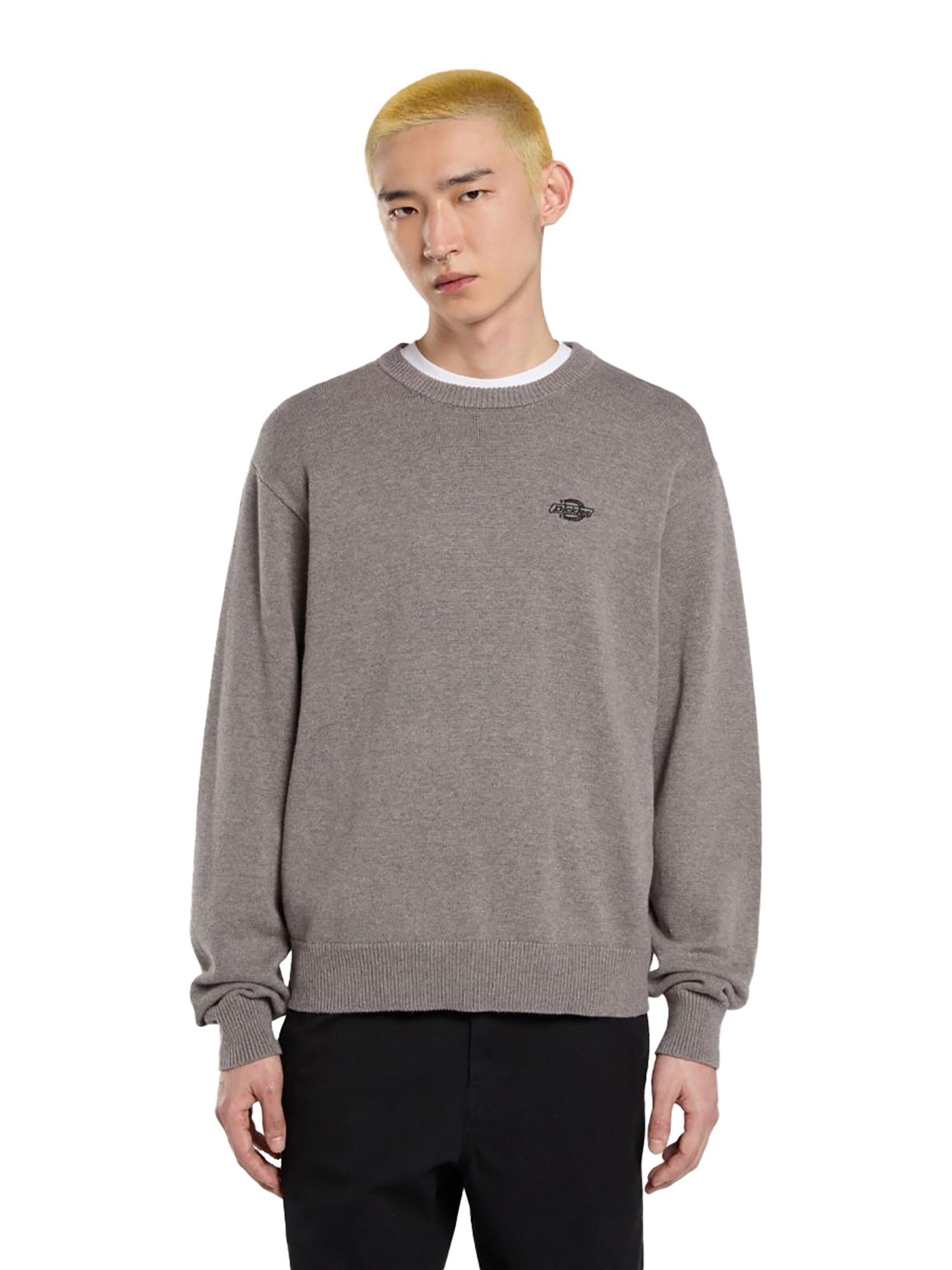 DICKIES Sweatshirt 'Summerdale' in Grey
