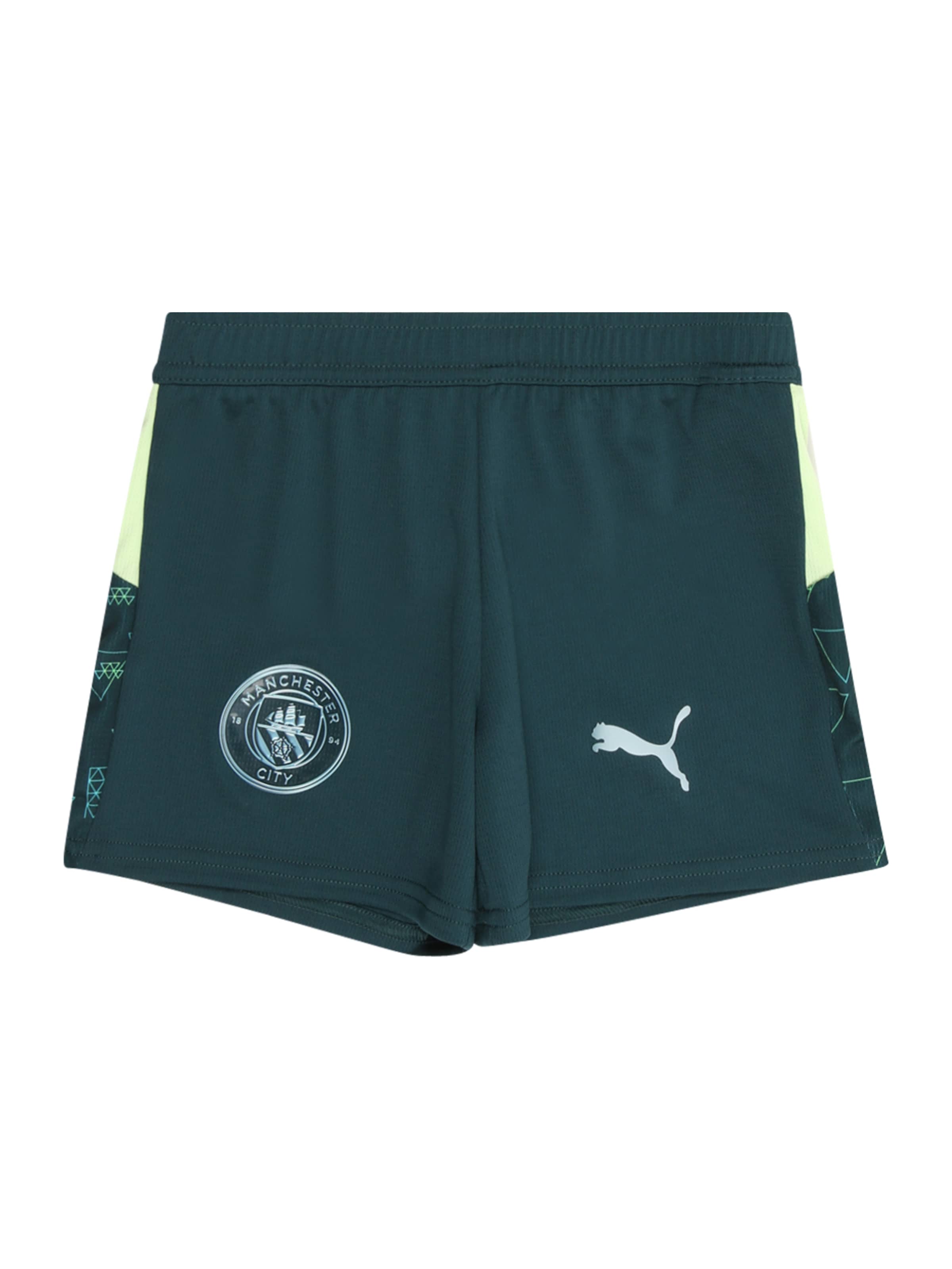 PUMA tavaline Spordipüksid 'Manchester City 25/26', värv roheline: eest vaates
