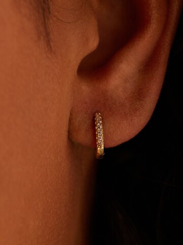 Lucardi Oorbellen in Goud: voorkant