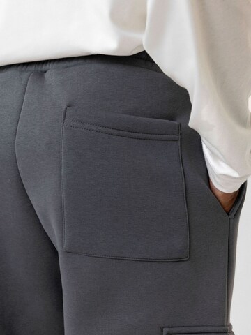 Loosefit Pantalon cargo 'Artur' Dandalo en gris