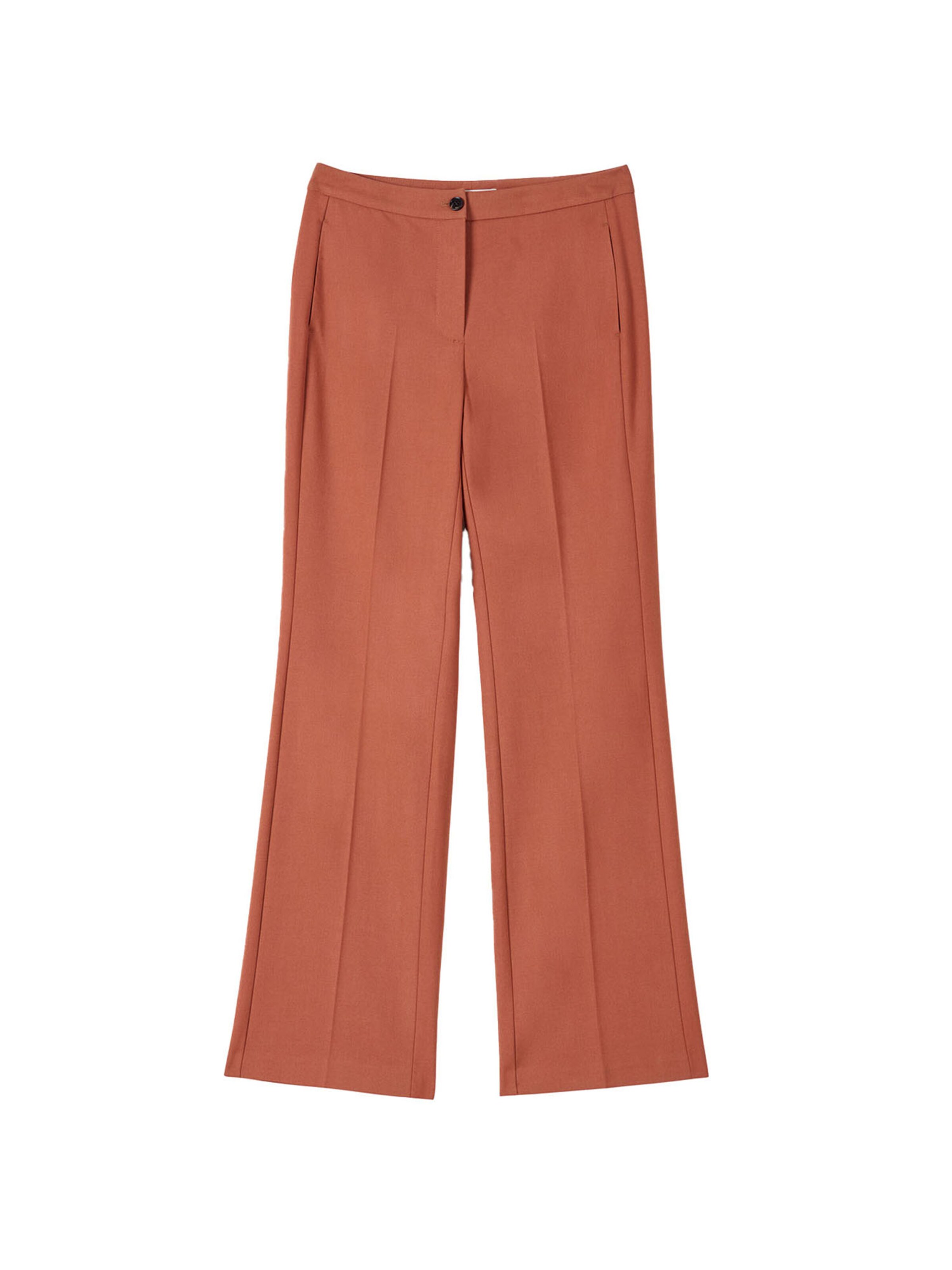 Camomilla Italia Wide leg Pleated Pants 'Giorgiat' in Brown: front