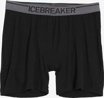 ICEBREAKER Спортивные трусы 'Anatomica' в Черный: спереди