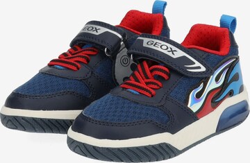 GEOX Sneakers in Blauw