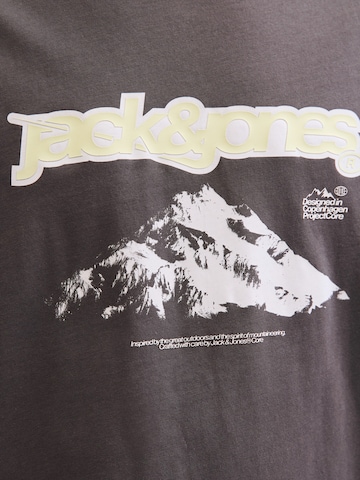 JACK & JONES Koszulka 'JCOFLARE' w kolorze szary