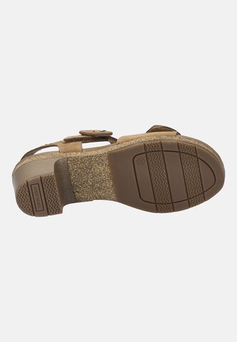 JOSEF SEIBEL Sandal 'GRACE 11' in Brown
