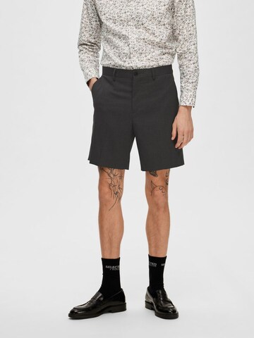 SELECTED HOMME Regular Shorts 'ADAM' in Grau: predná strana