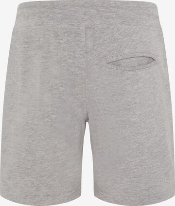 Navigator Regular Pants in Grey