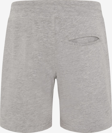 Navigator Regular Pants in Grey