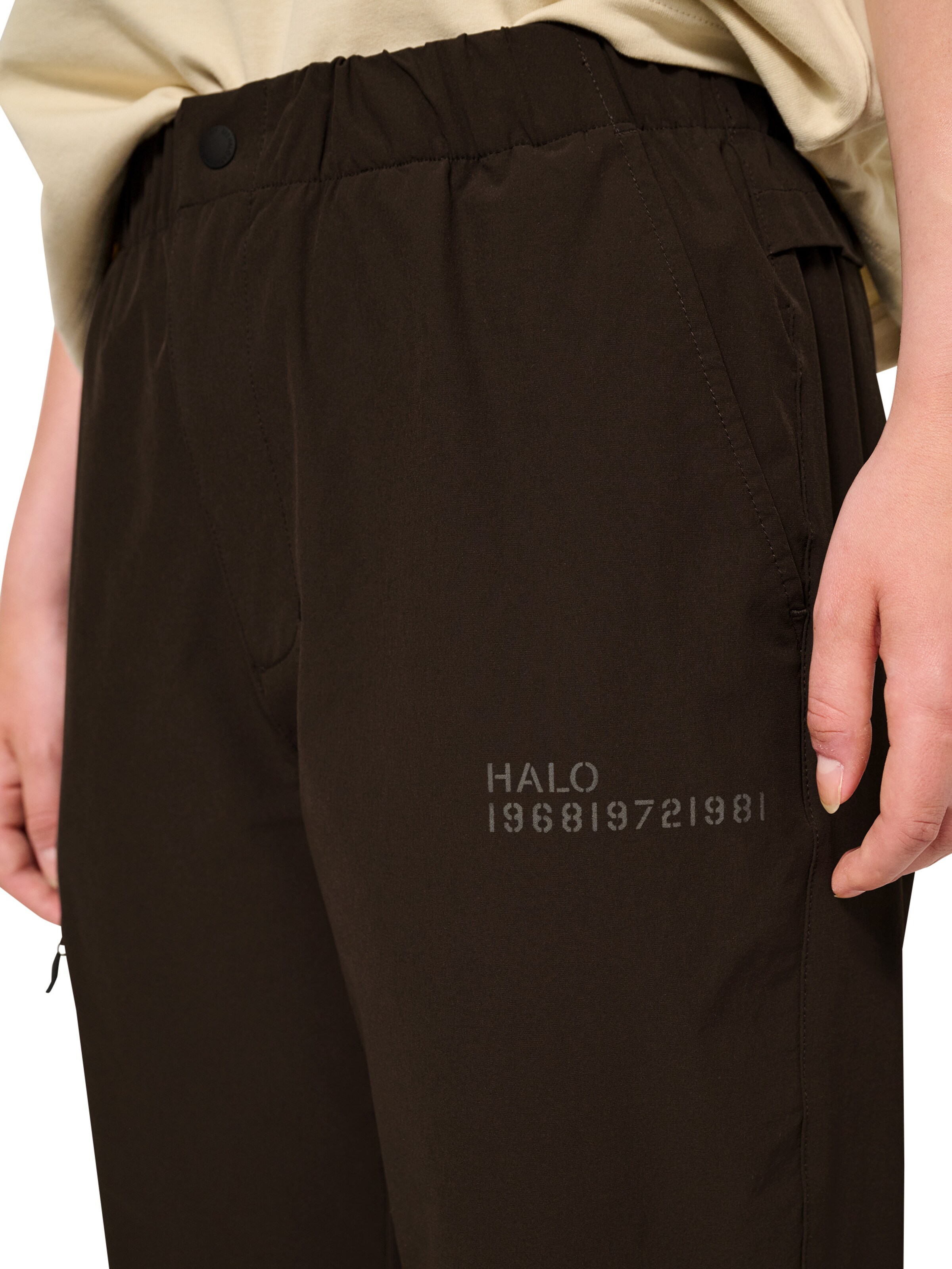 HALO Regular Pants in Brown