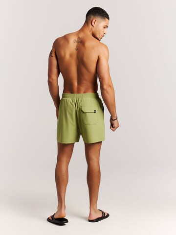 PROTEST Board Shorts 'PRTIgapo' in Green