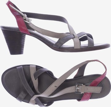 Marc O'Polo Sandalen 38 in Grau: predná strana