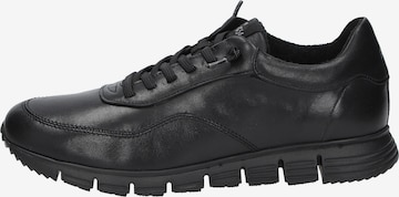 SIOUX Sneakers in Black