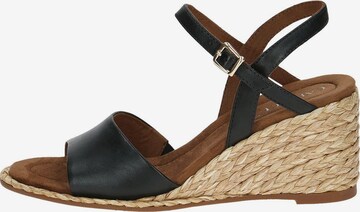 CAPRICE Sandals in Black