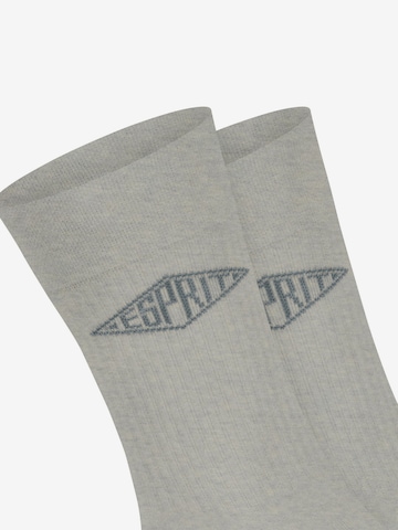ESPRIT Socken 'Unisex Logo 2-Pack' in Grau: Vorderseite