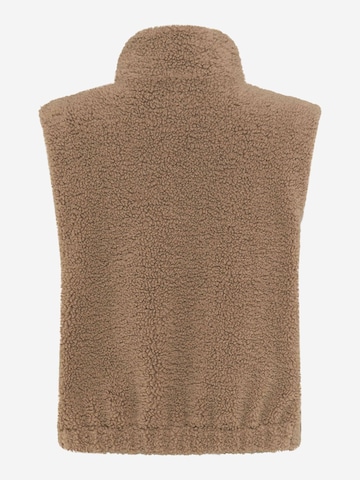 Fuchs Schmitt Weste 'Bonn'‌‌‌‌‌‌‌‌‌ in Beige