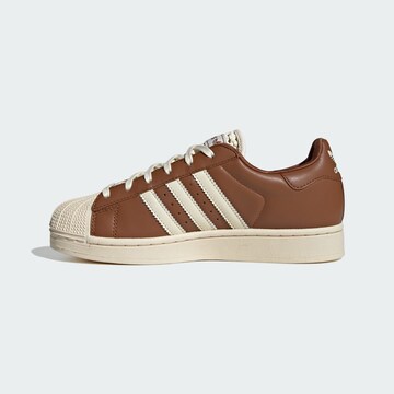Baskets basses 'Superstar II' ADIDAS ORIGINALS en marron