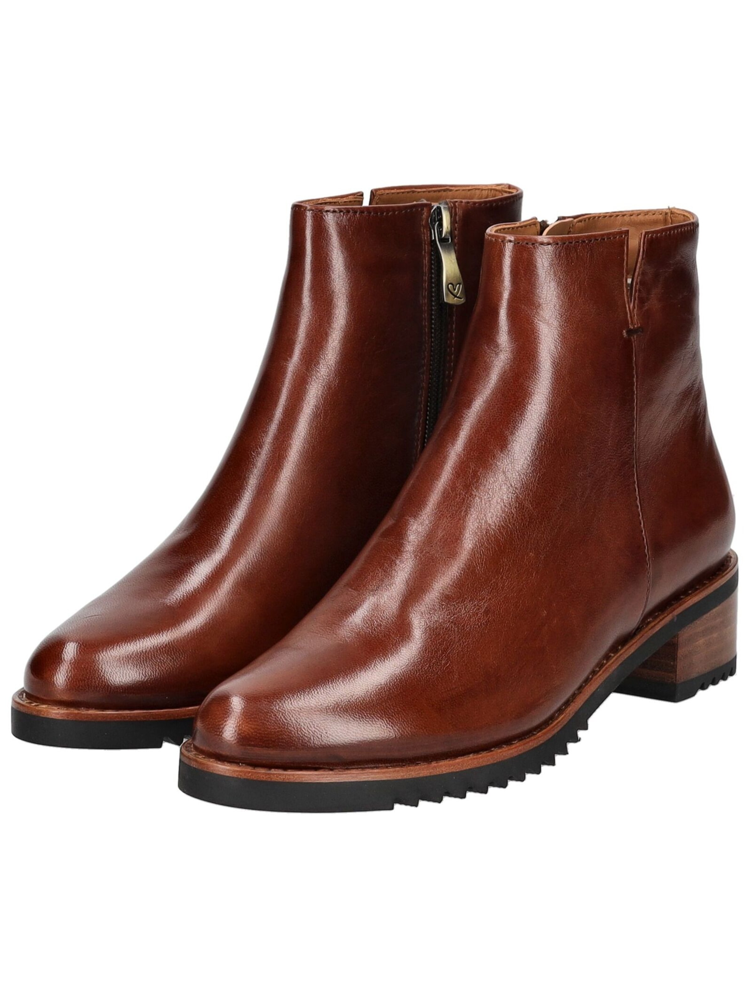 Everybody Ankle boots in Brown