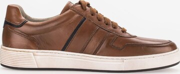 Pius Gabor Sneakers laag in Bruin