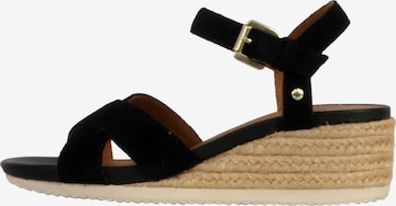 GEOX Sandały 'Ischia Corda Keilabsatz-Sandalen aus Leder' w kolorze czarny: przód