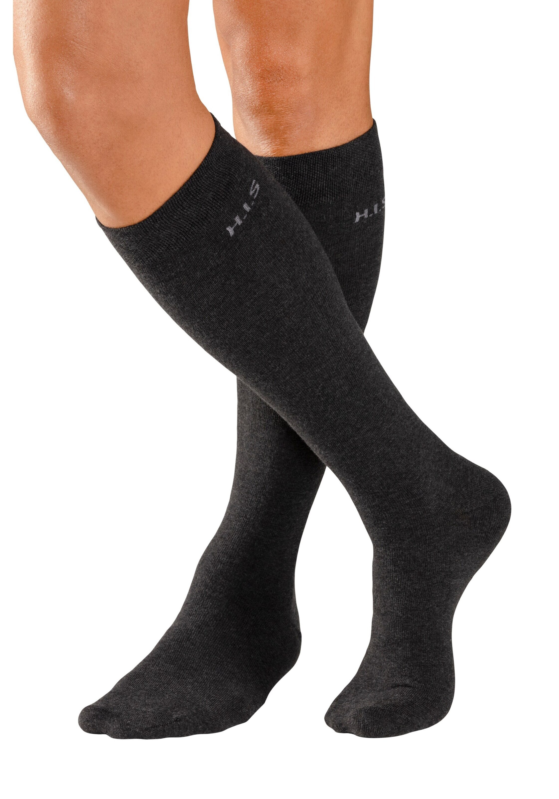 pilka H.I.S Kojinės iki kelių
