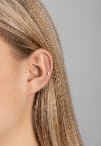 Nordahl Jewellery Oorbellen 'Pierce52' in Goud: voorkant