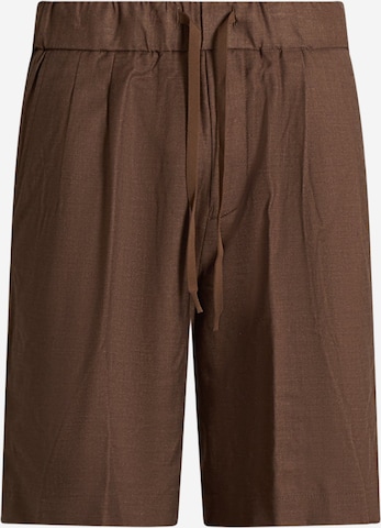 Pantaloni di SSEINSE in marrone: frontale