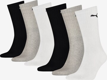 PUMA Sportsocken in Grau: predná strana