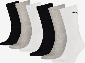 Chaussettes de sport PUMA en gris : devant